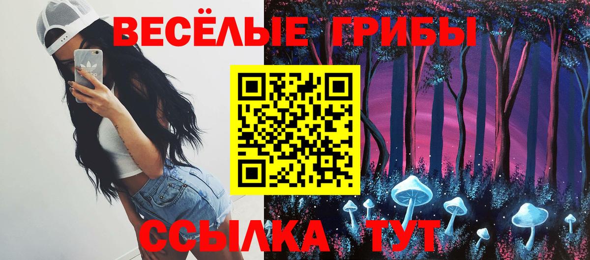 Галлюциногенные грибы MAGIC MUSHROOMS Советск