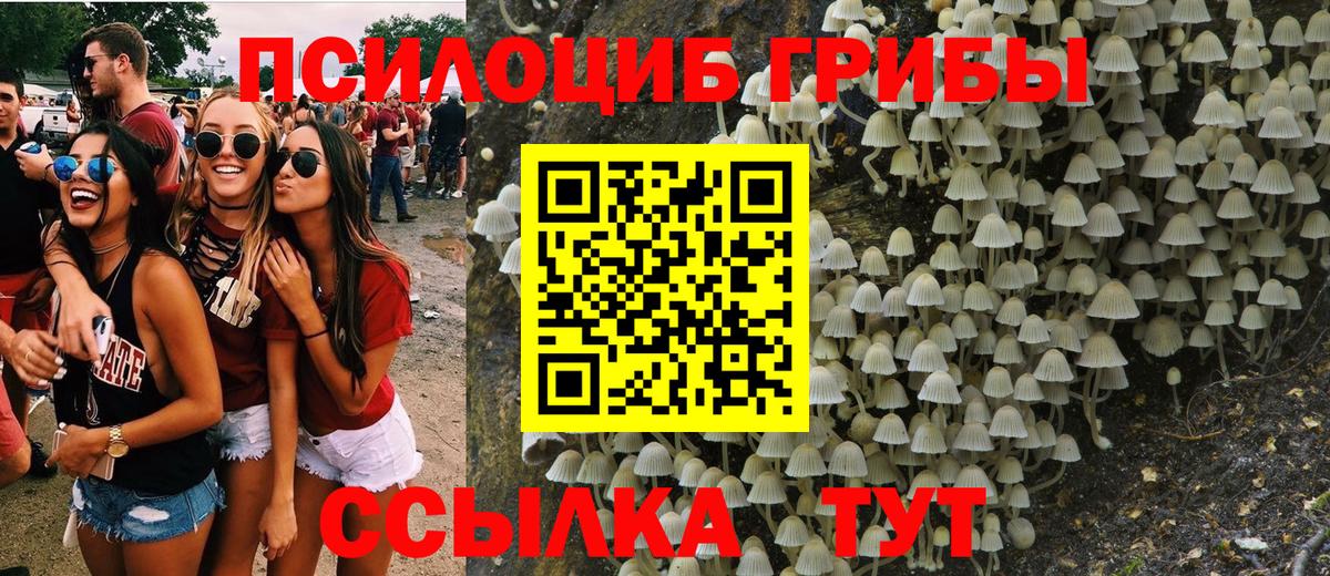 где можно купить   Псилоцибиновые грибы мухоморы  Вход с VPN  Советск 